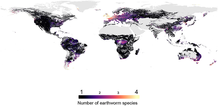 Figure 2: The number of earthworm species across the world, created using our model.