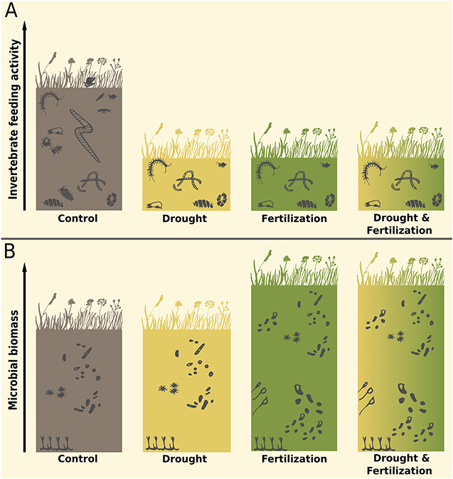 Figure 3: What did we find?