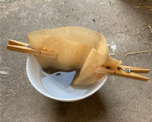 Figure 2 : Extraction de nématodes à la maison.