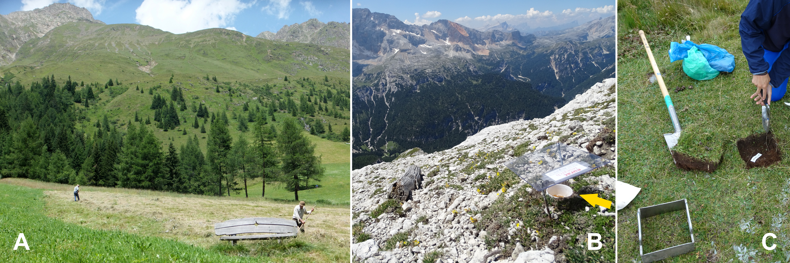 Slika 1: U europskim Alpama stoljeća tradicionalne poljoprivrede stvorila su travnjačka tla bogata vrstama.