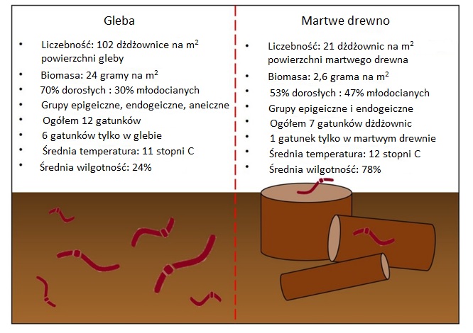 Rycina 3: Podsumowanie wyników badań gleby i posuszu w dąbrowach w celu odnalezienia dżdżownic.