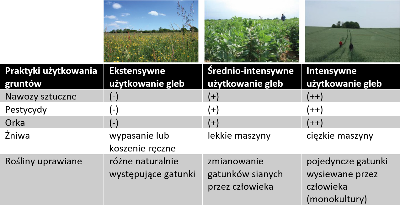 Rycina 2: Trzy powszechne sposoby użytkowania środowisk przyrodniczych.
