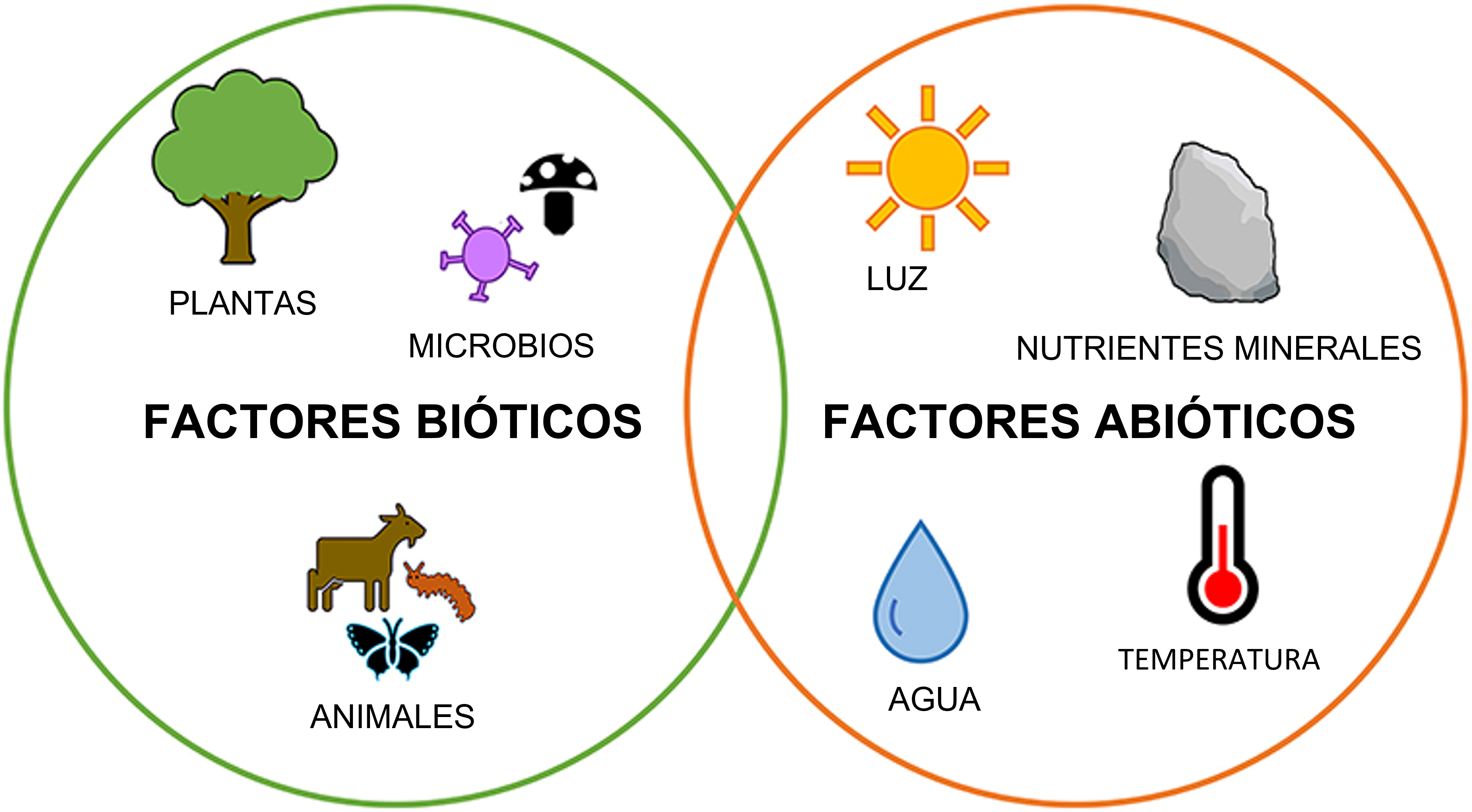 Figura 3: Factores bióticos y abióticos importantes que interactúan en el ambiente. Tienen un impacto en el crecimiento de las plantas y pueden afectar la comunicación química entre las plantas y los microbios del suelo. El ícono de hongo es de Flat