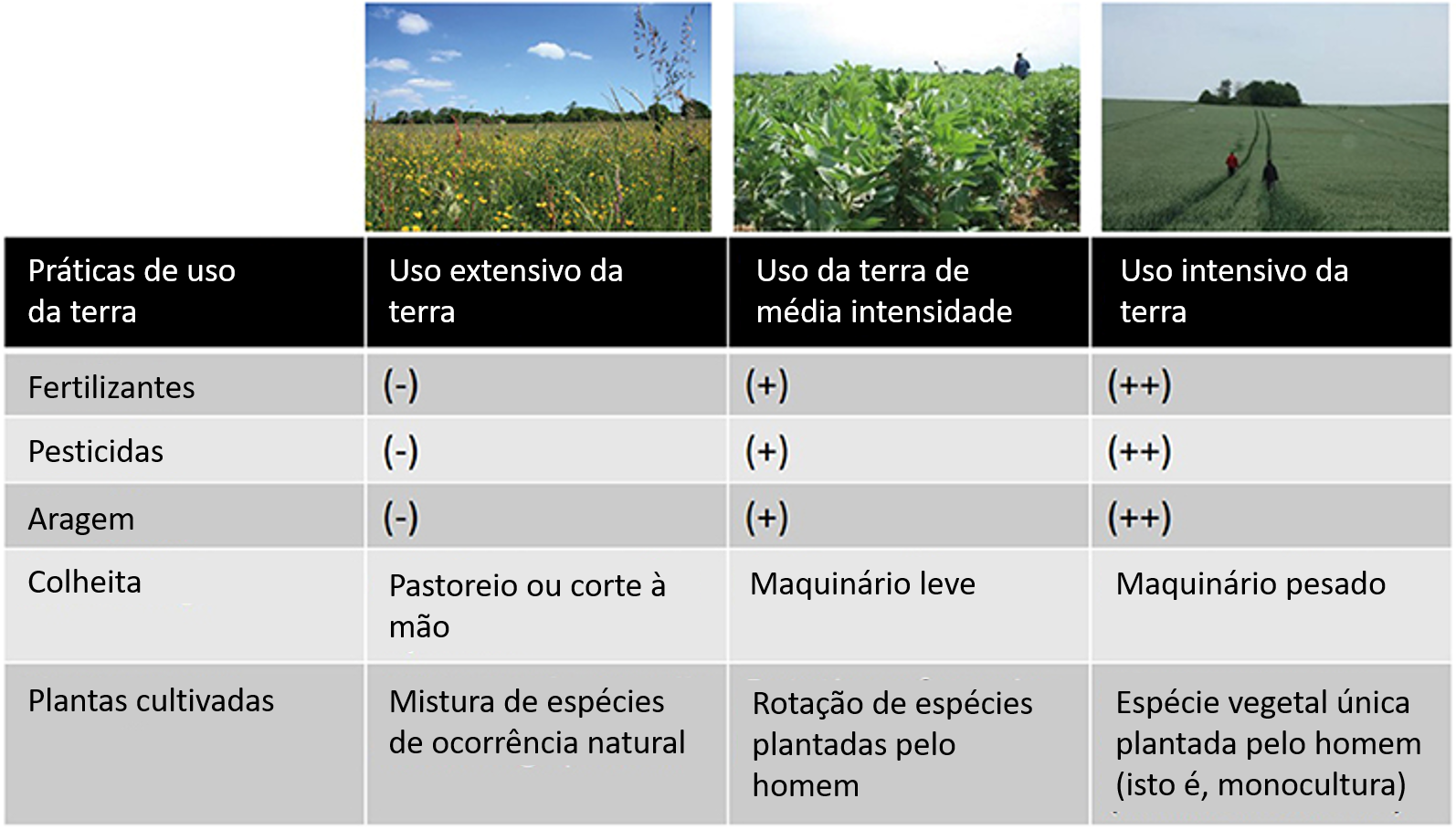 Figura 2: Três maneiras comuns de utilização dos ambientes naturais.