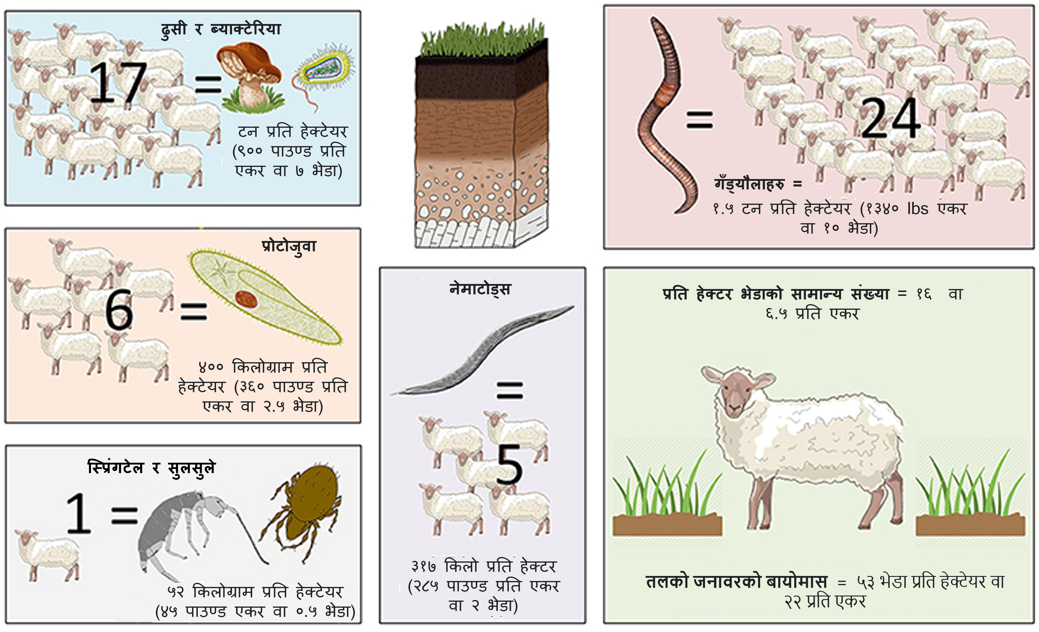 चित्र १ - प्रति हेक्टर (हे) माटो जनावरहरूको तौल, भेडामा नापिएको।