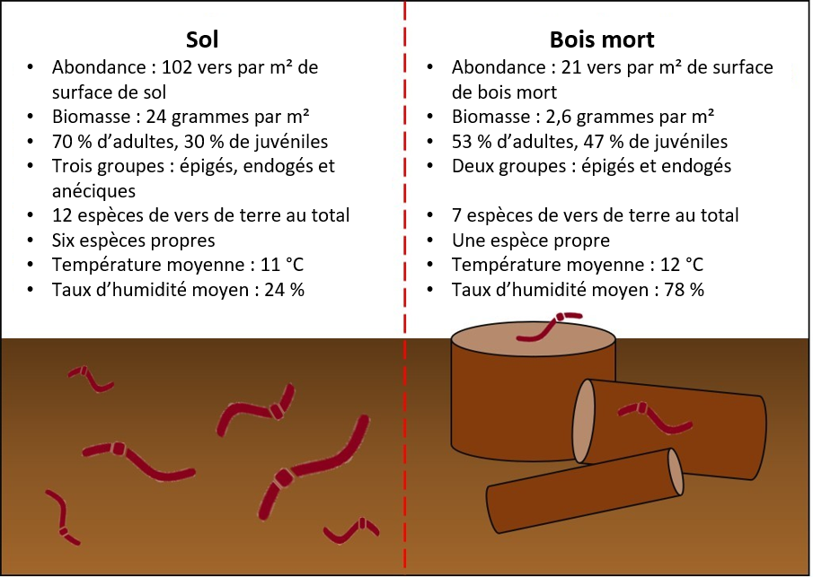 Figure 3 : Récapitulatif des résultats de l’étude des vers de terre dans le sol et dans le bois mort des forêts de chênes.